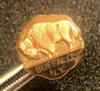 Vintage Buffalo,  Ny Souvenir Travel Pin - Rare