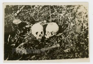 Ww2 1937 China Photograph Battle Shanghai War Bones Skulls In Field Photo