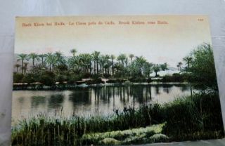 Israel Haifa Brook Kishon Postcard Old Vintage Card View Standard Souvenir Post