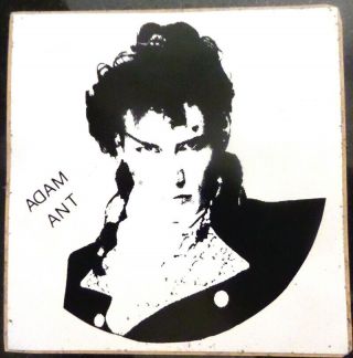 Adam Ant Vinyl Sticker - Over 24 Years Old In