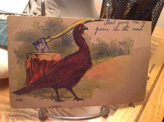 Vintage Thanksgiving Postcard Turkey Pain In The Neck Ax In Stump