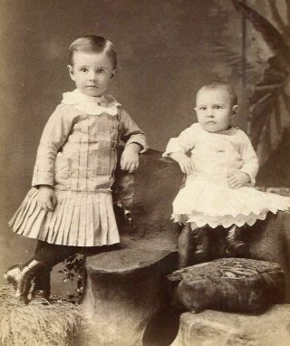 Antique Cabinet Photo Adorable Children Boy W Pleated Dress By Weber Gowanda Ny