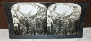Antique Wwi Keystone Stereoview French Inspecting Wrecked German Zeppelin