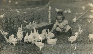 1914 Little Caroline Feeding The Baby Chicks Chickens On Farm