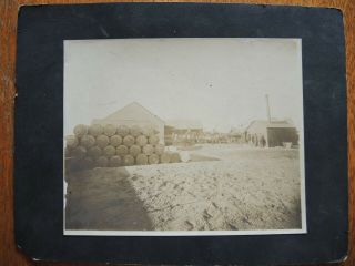 1900 Mounted Photograph Conoco Continental Oil Company,  Horses & Wagons