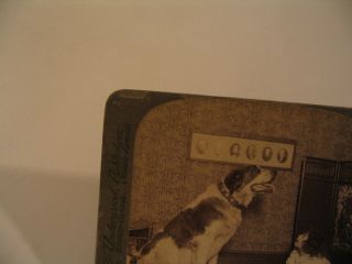 Dog Pet Stereoview Photo cdii Aren ' t You Big Enough To Talk I am 5