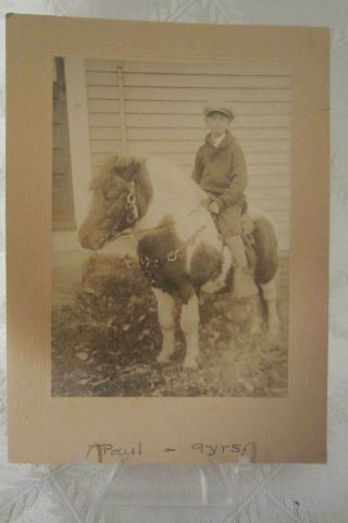 Vintage Cabinet Card Photograph - Young Boy Poses On His Shetland Pony