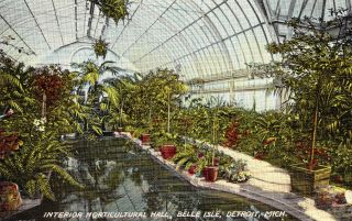 Antique Postcard,  Interior Horticultural Hall,  Belle Isle,  Detroit Michigan E03