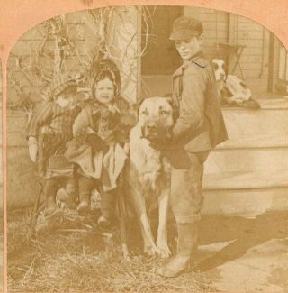 Children With Huge Dog,  " The Home Guard ".  Kilburn Brothers Stereoview Photo