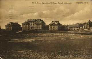 1914 Ithaca,  NY N.  Y.  State Agricultural College,  Cornell University York 2