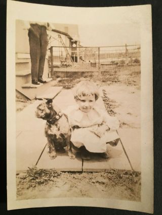Vintage 1900 " S B&w Photo Of Cute Girl & Her Best Friend A Pretty Dog 3655