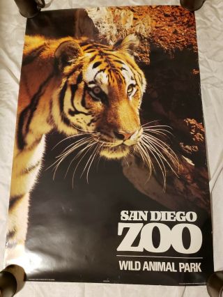 Vintage San Diego Zoo Wild Animal Park Poster Siberian Tiger