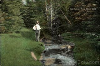 Canada Prince Edward Island Brook Fishing Antique Postcard Vintage Post Card