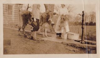 Old Vintage Antique Photograph Man With Woman Holding Cow On Rope By Water Pump