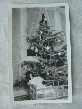 Vintage Photo Christmas Tree W/ Baby Doll Toy 825