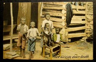 1910 Black Americana Postcard - " Race Suicide Down South "