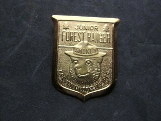Vintage Smokey Bear Prevent Fire Junior Forest Ranger Goldtone Metal Pin Badge
