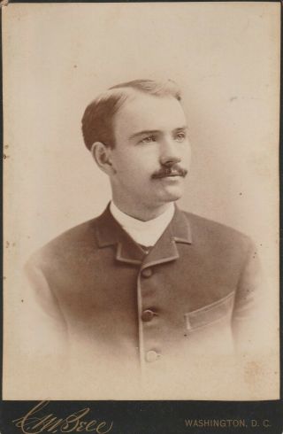 Cabinet Card Gentleman Mustache,  Great Ad Back C.  W.  Photographer Washington D.  C.