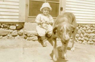 J262 Vtg Photo Boy And His Dog Back Porch Stoop C Early 1900 