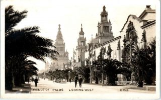 Rppc San Francisco,  Ca California Avenue Of Palms Ppie Expo 1915 Postcard