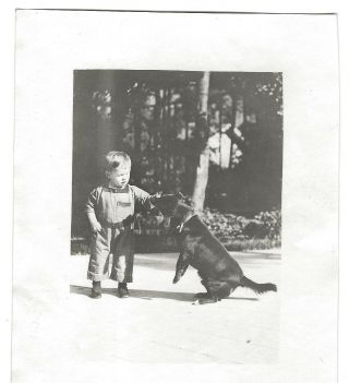 Little Boy & His Dog Pal Petting Playing Snapshot Vintage Pet Photo