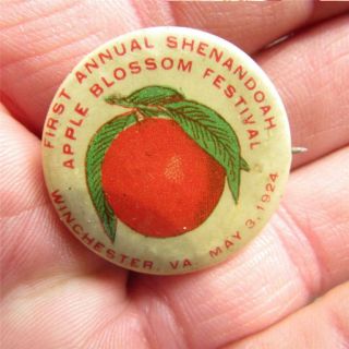 Old And Rare 1924 Winchester Virginia Pinback - Very 1st Annual Apple Festival