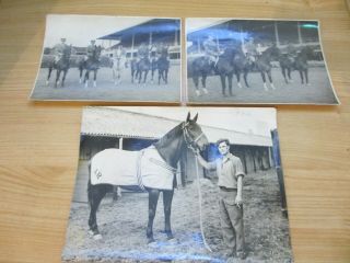 Three Old Photographs.  Irish Military And An Irish Press Photo Of Horse.  Undated