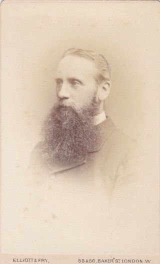 Antique Cdv Photo - Man With Large Beard.  R.  Phipps.  London Studio