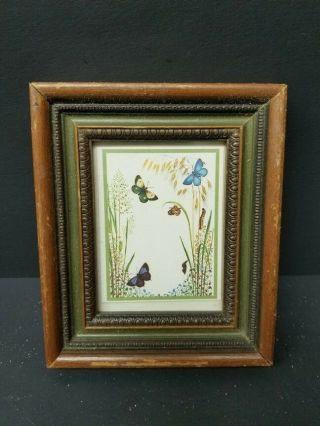 Antique Vintage Wooden Framed Butterfly Photo