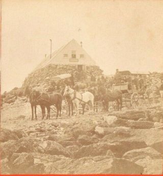 Tip Top House With Horses And Carriages.  S.  F.  Adams Stereoview Photo