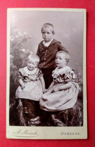 Cdv Three Danish Children,  By A Munck,  Horsens