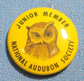 Vintage Junior Member National Audubon Society Owl 1 " Litho Pin Made In Usa
