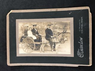 Vintage Photo: Large Cabinet Card: Family Carriage Donkey: Claudelow: Edinburgh