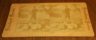 Antique Stereoview Card " The Temperance Lecture " Teetotaler Boys Kids - Standard