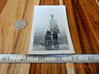 Vtg Photo Young Woman Beauty Bathing Suit Large Dog Early 1900 