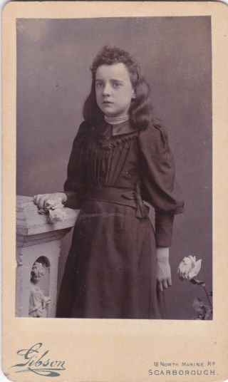 Antique Cdv Photo - Young Lady.  Long Hair.  Scarborough Studio