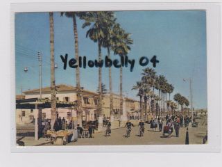 Cyprus Larnaca Sea Front Col Ppc Pu 1967 Large Size 6x4 Ins