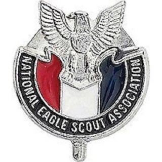Boy Scout Bsa Nesa Eagle Scout Silver Lapel Hat Tie Jacket Coat Pin Jambo Oa