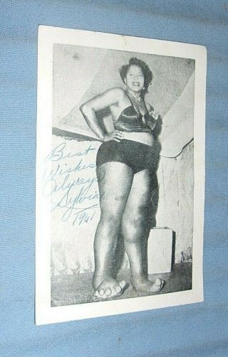 Vintage Sylvia Portis The Elephant Girl Sideshow Freaks Pitch Card Signed 1961