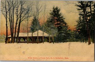 Winter Scene In Forest Park No.  9 Springfield Ma C1910 Vintage Postcard R13