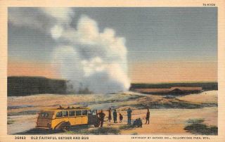 Old Faithful Geyser And Bus Yellowstone National Park Wyoming Postcard (1940s)