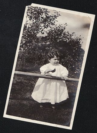 Vintage Antique Photograph Little Girl Standing By Fence In Garden / Yard