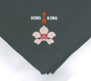 Scouts Of Hong Kong - Leader Official Uniform Cum Overseas Delegation N/c Scarf