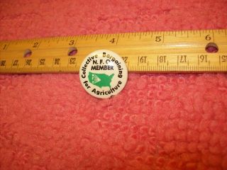 Vintage N.  F.  O.  Member Nfo Collective Bargaining Agricultural Pinback Pin Button
