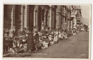 Flower Sellers Adderley Street Cape Town South Africa Vintage Postcard Us113