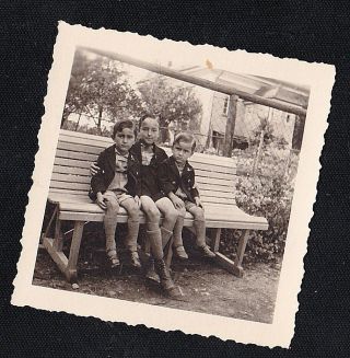 Old Vintage Antique Photograph Three Little Boys Sitting On Park Bench