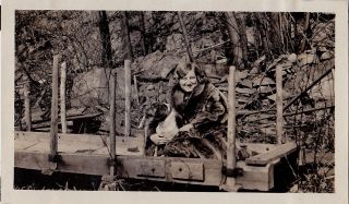 Antique Vintage Photograph Woman In Fur Coat Sitting In Wood Cart With Puppy Dog