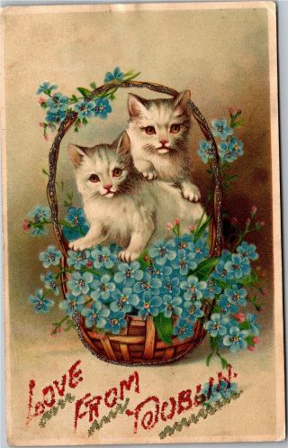 Kittens In A Basket Of Forget - Me - Nots,  Love From Dublin Vintage Postcard K11