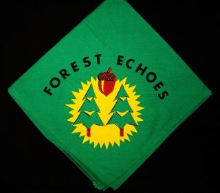 Boy Scout Camp Forest Echoes 50 