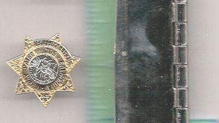 CALIFORNIA HIGHWAY PATROL CHP OFFICER POLICE TRAFFIC OFFICER GOLD BADGE PIN 3